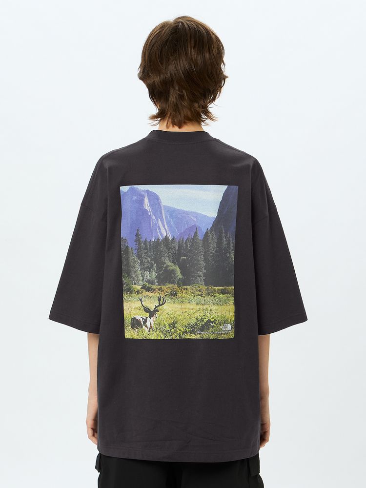 THE NORTH FACE JAPAN / 優美勝地 短袖T恤 NT32436