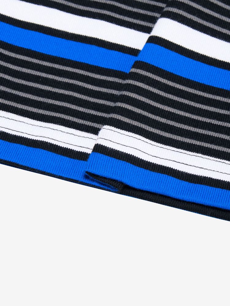 THE NORTH FACE JAPAN / 條紋 短袖T恤 NT32455