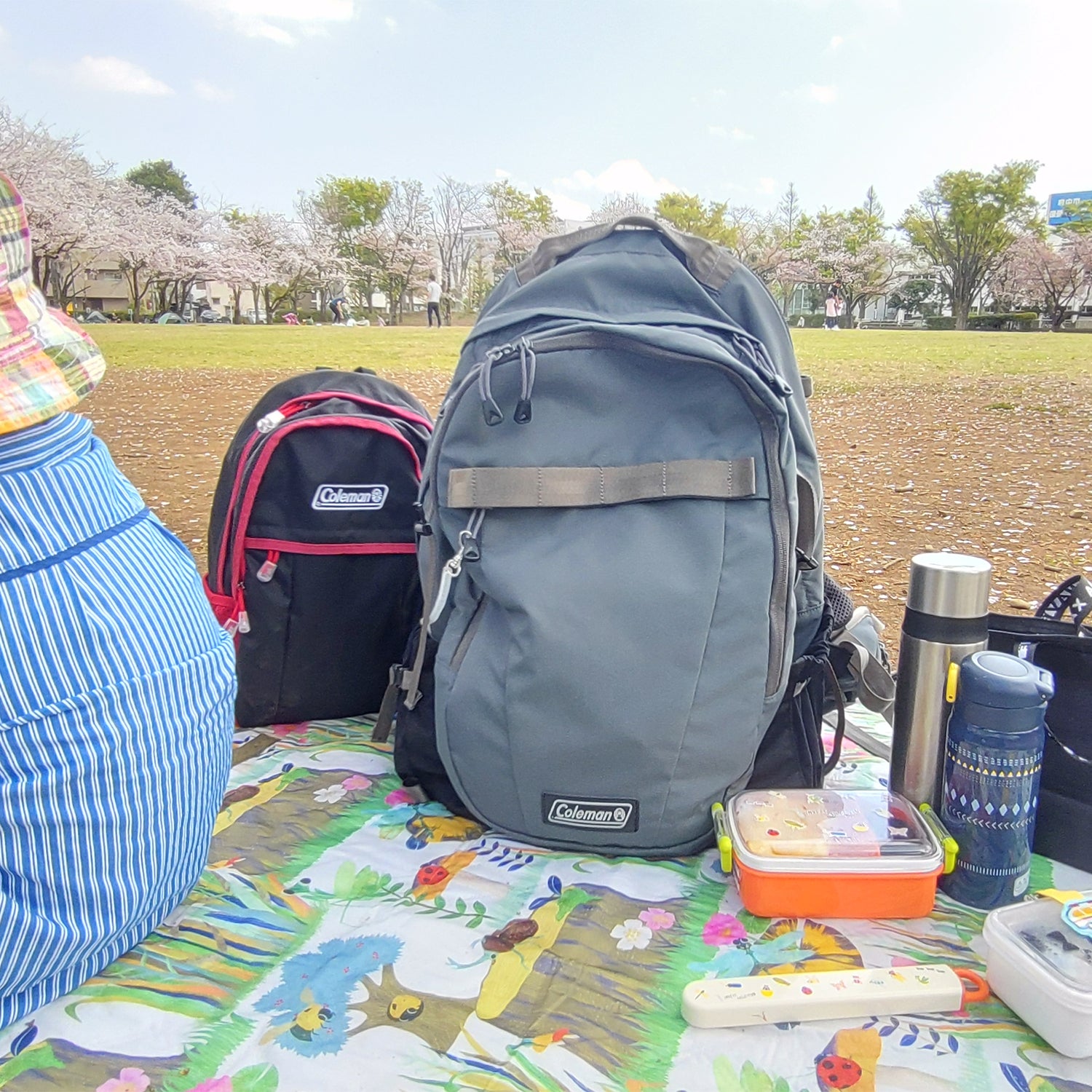 COLEMAN AITHRIA / 30公升 後背包