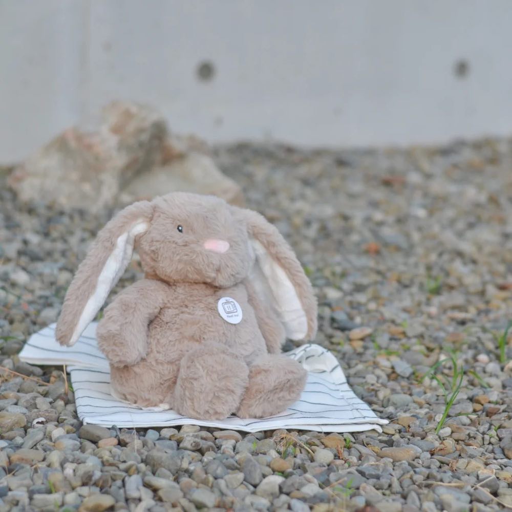 瑞典Teddykompaniet 涼感/暖暖兔