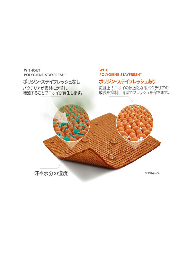 THE NORTH FACE JAPAN / 吸濕快乾機能襪(兩雙入) NN82516