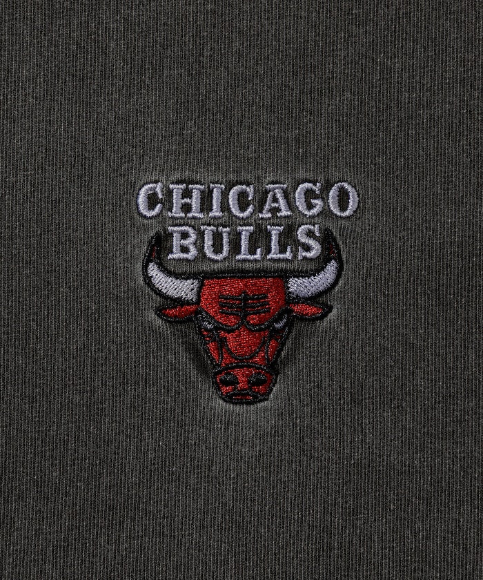 NBA 別注 / 雙刺繡標誌 短袖T恤