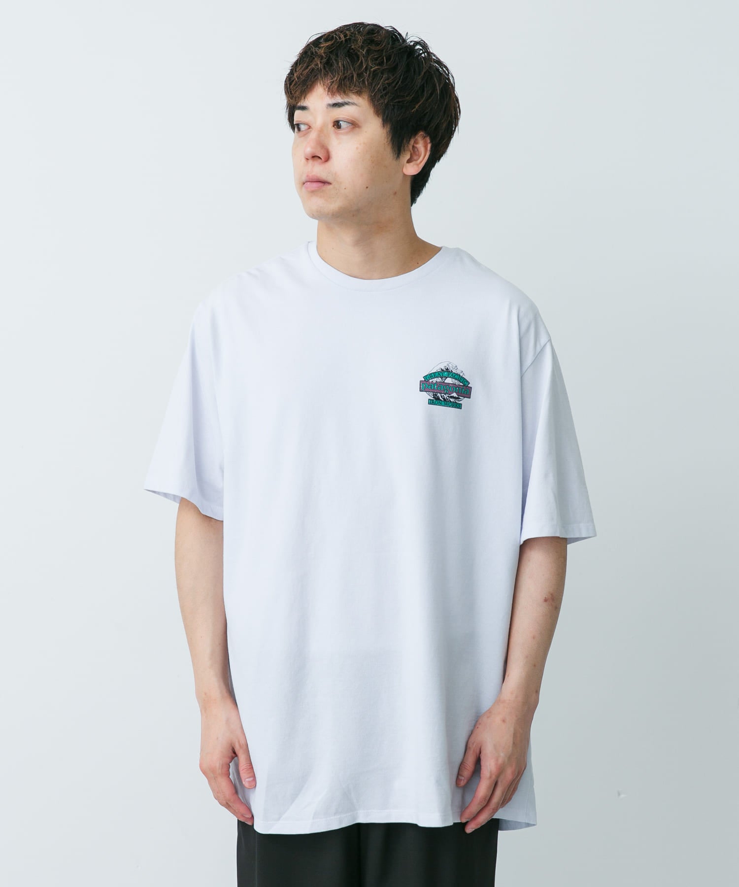 Patagonia GREAT WAVES RE-T-SHIRTS / 波紋 重磅純棉 短袖t恤
