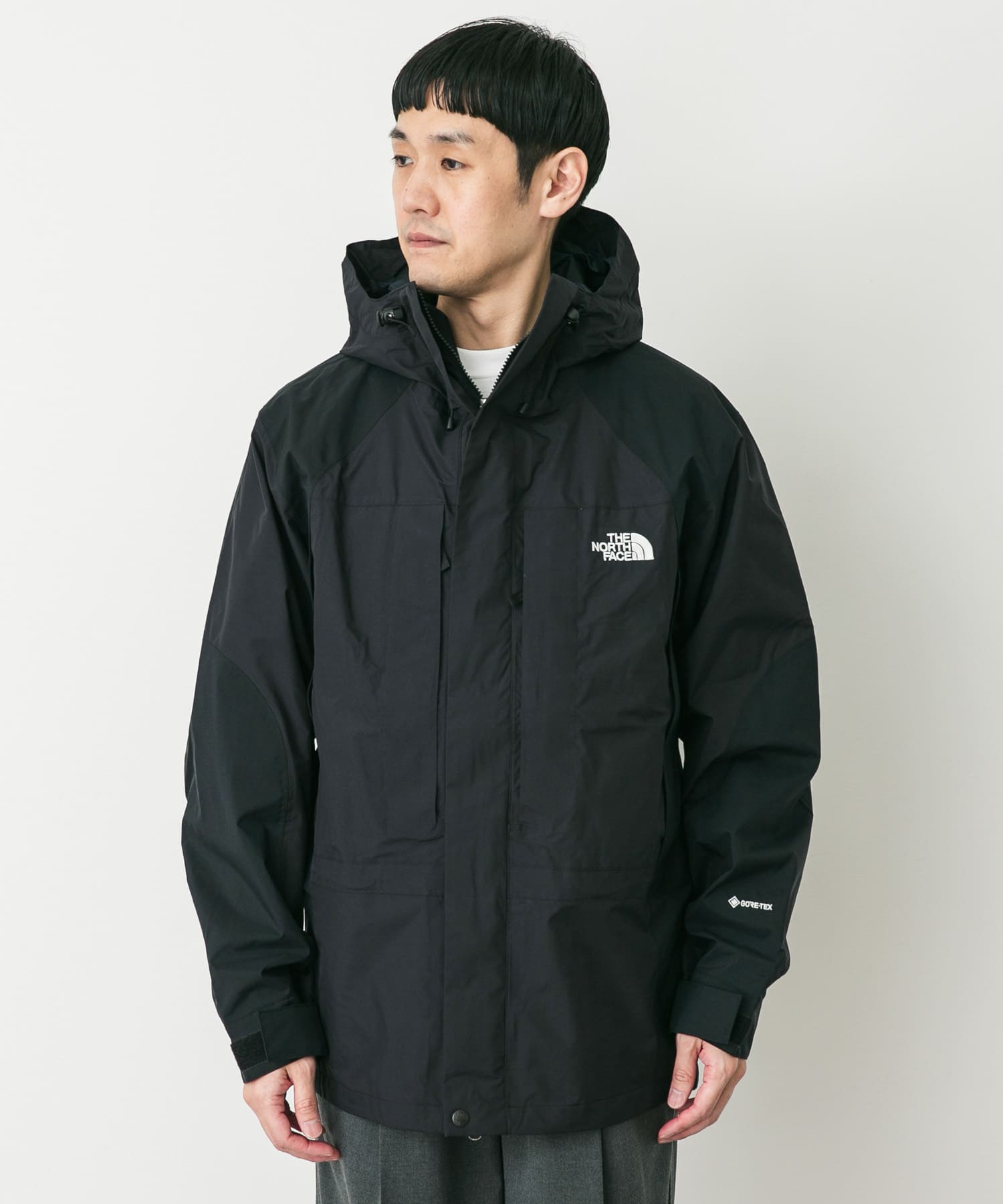 THE NORTH FACE JAPAN 2000RETROMOUNTAINLIGHTJACKET  NP12651  / 尼龍外套