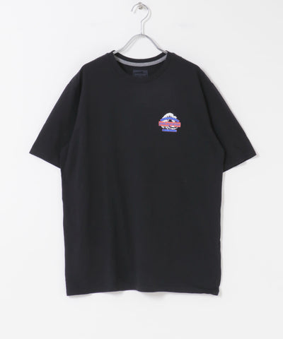 Patagonia GREAT WAVES RE-T-SHIRTS / 波紋 重磅純棉 短袖t恤