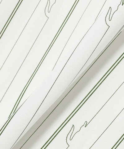 LACOSTE × BEAMS / 鱷魚圖騰條紋襯衫（日本聯名限定）