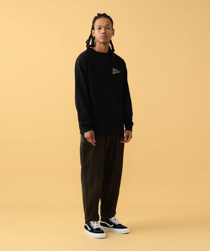 Pilgrim Surf+Supply Zaｍbia Pennant Team Tee / 長袖T恤