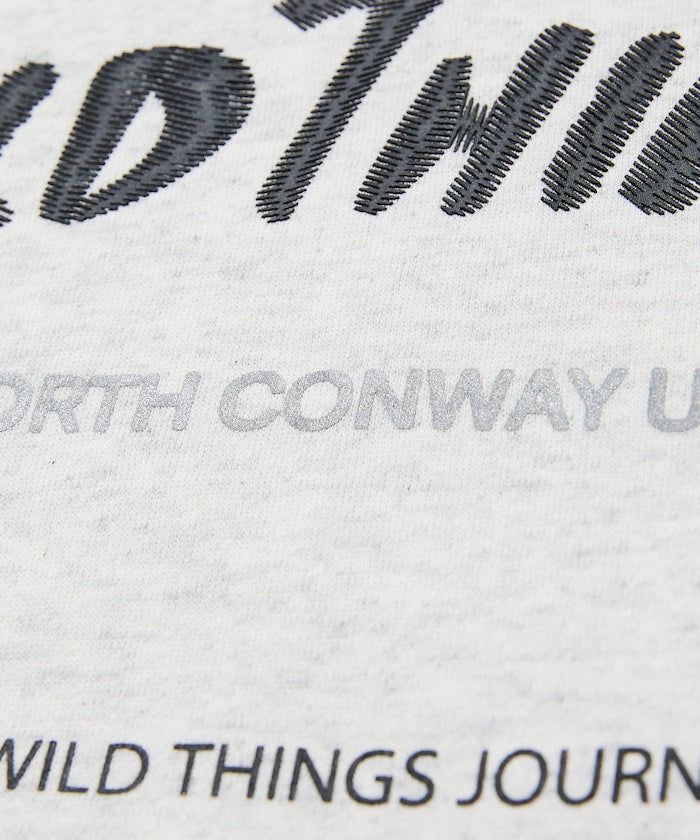 WILD THINGS×FREAK'S STORE / 標誌 圓領衫