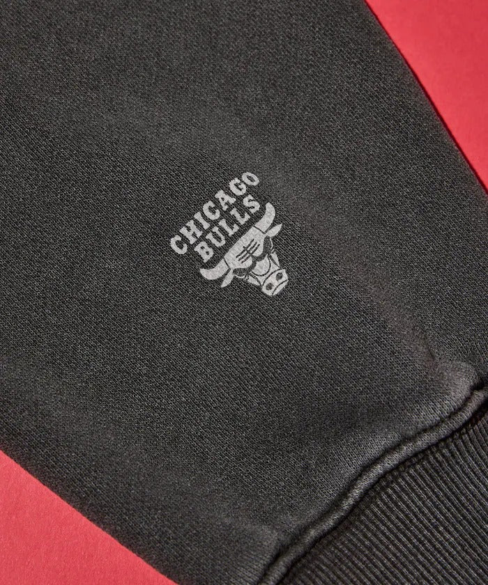 NBA × FREAK'S STORE / 球隊Logo拼布刺繡 圓領衫（日本聯名限定）