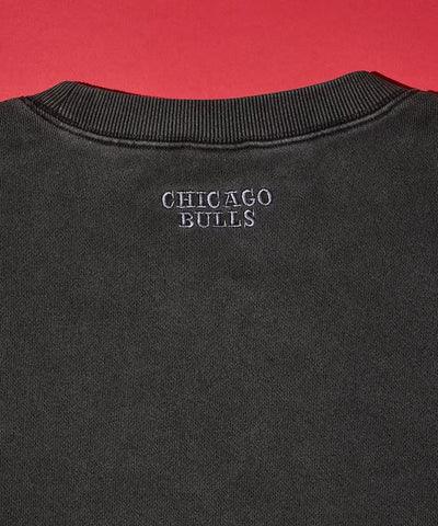 NBA × FREAK'S STORE / 球隊Logo拼布刺繡 圓領衫（日本聯名限定）